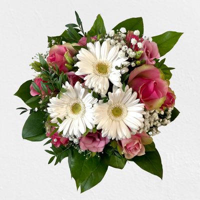 Timms eleganter Gruß