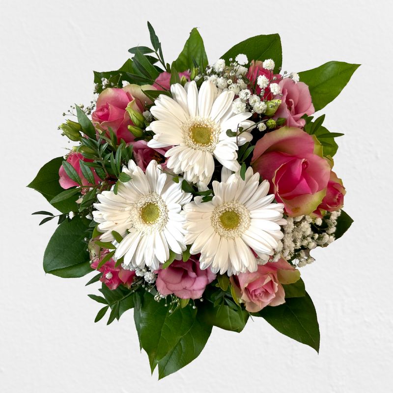 Timms eleganter Gruß