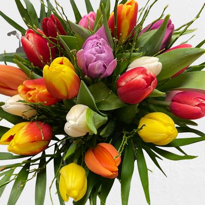 Timms Tulpen Mix