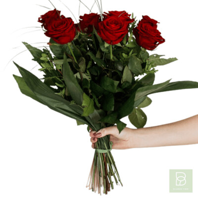 Timms Eleganter Rosentraum