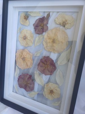 Pressed Flower Frame