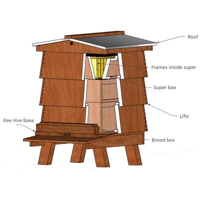 WBC Bee Hive Parts
