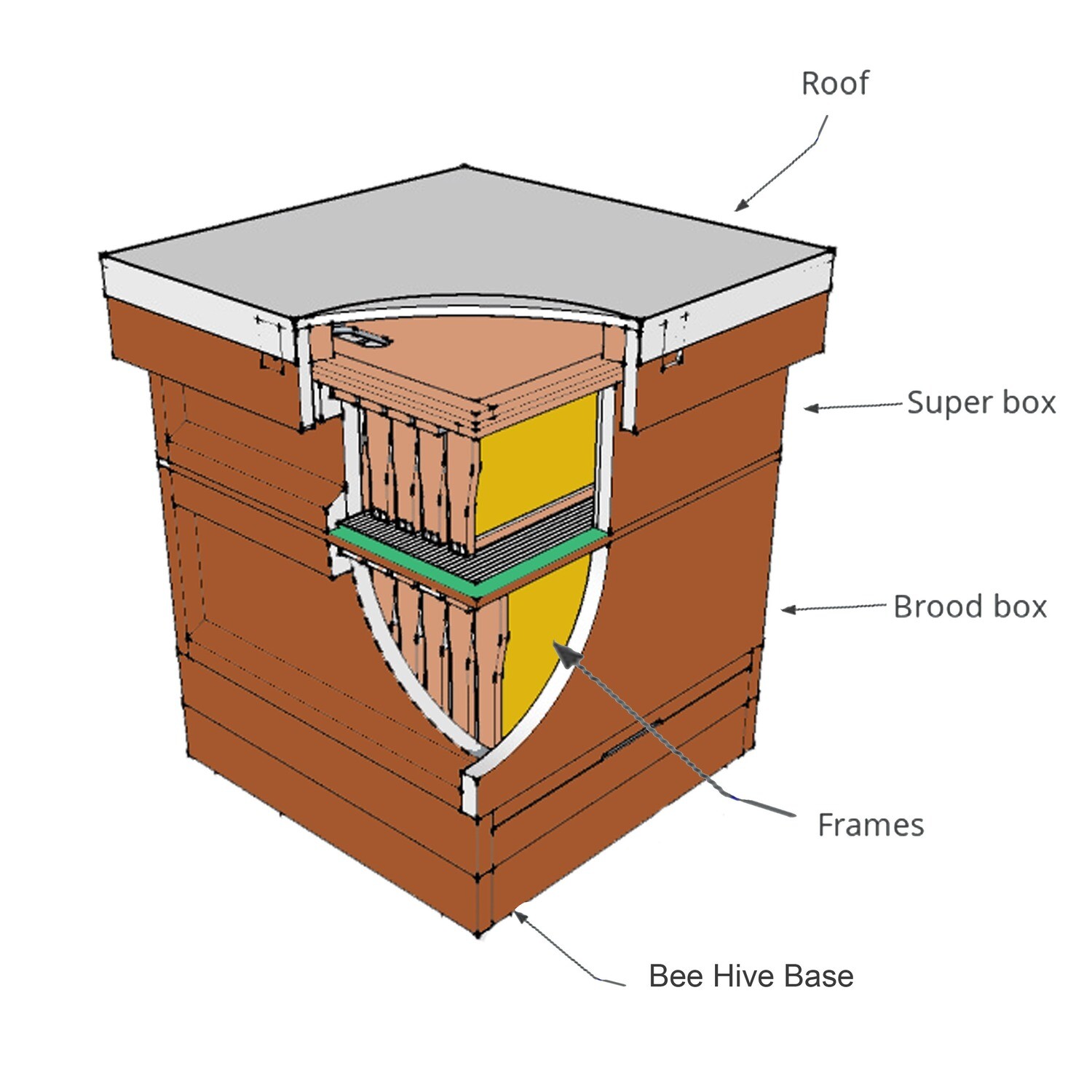 National Bee Hives Parts