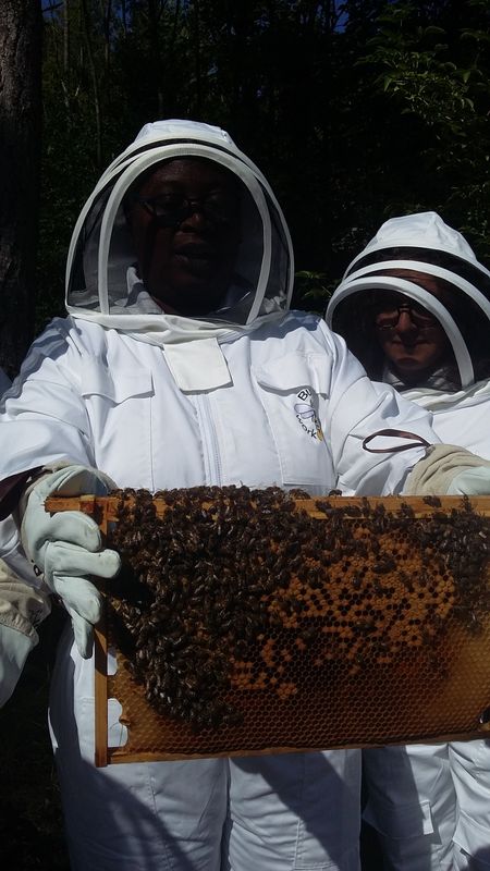 Beekeeping Courses – Beginners, Intermediate, &amp; Hive Assembly