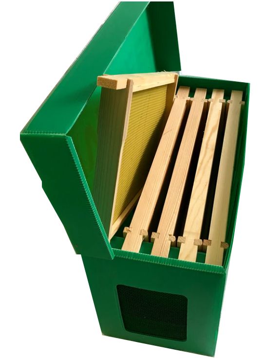 Swarm Catching - Corex Nuc Box with 5 British National DN4 Frames