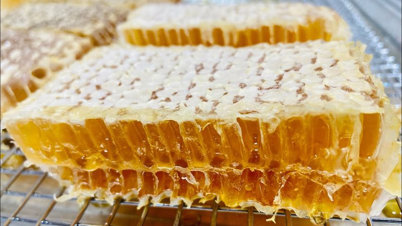 Raw Honey &amp; Honeycomb