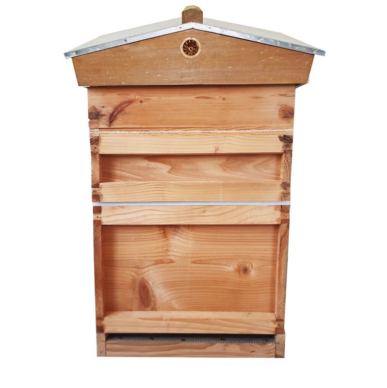 Choosing Your Hive Setup