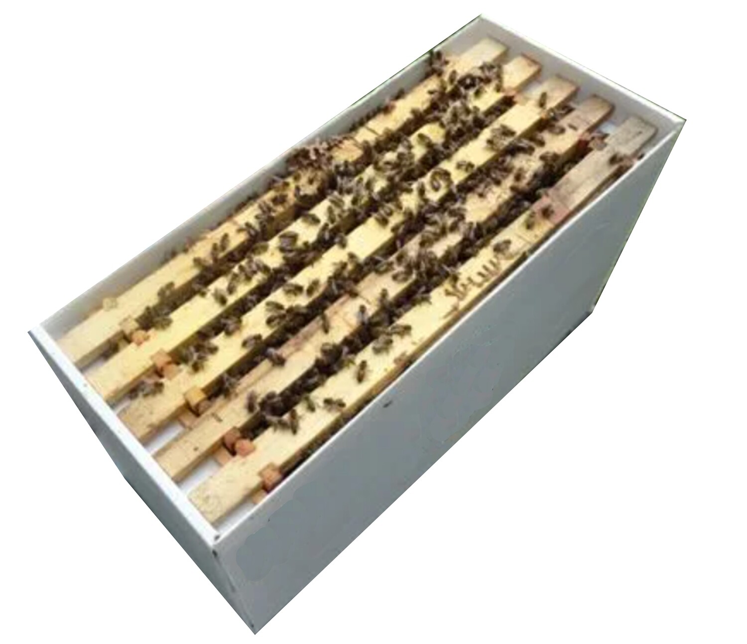 6 Frame Nuc For Sale UK Surrey Kent Bees Standard Brood National / WBC Nucs - Standard DN4 Frames