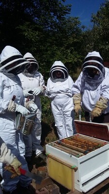 One Day Practical Beginners Beekeeping Course - Location Surrey /Kent Border