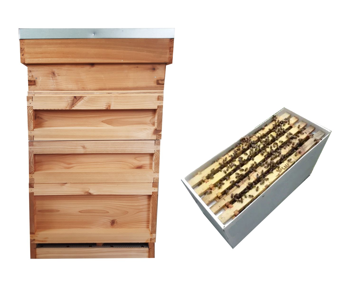 British National Hive with 6-Frame Nucleus Colony – Beginner Package (1½ Brood)