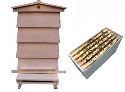 WBC 1½ Brood Hive + 6-Frame Nucleus Colony Complete Traditional Starter Hive – Ready to Begin Beekeeping