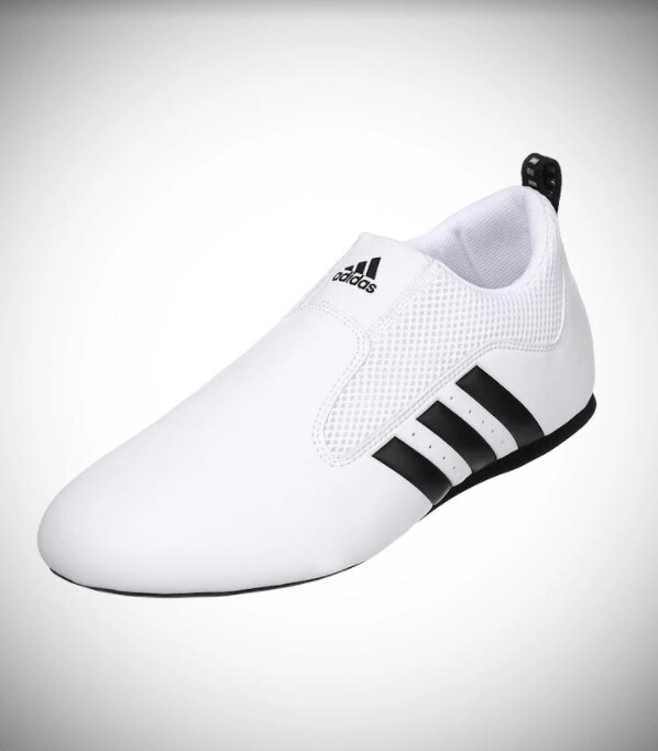 Taekwondo Shoe