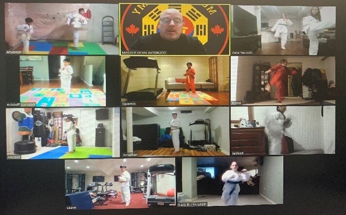 Online Zoom Taekwondo Program