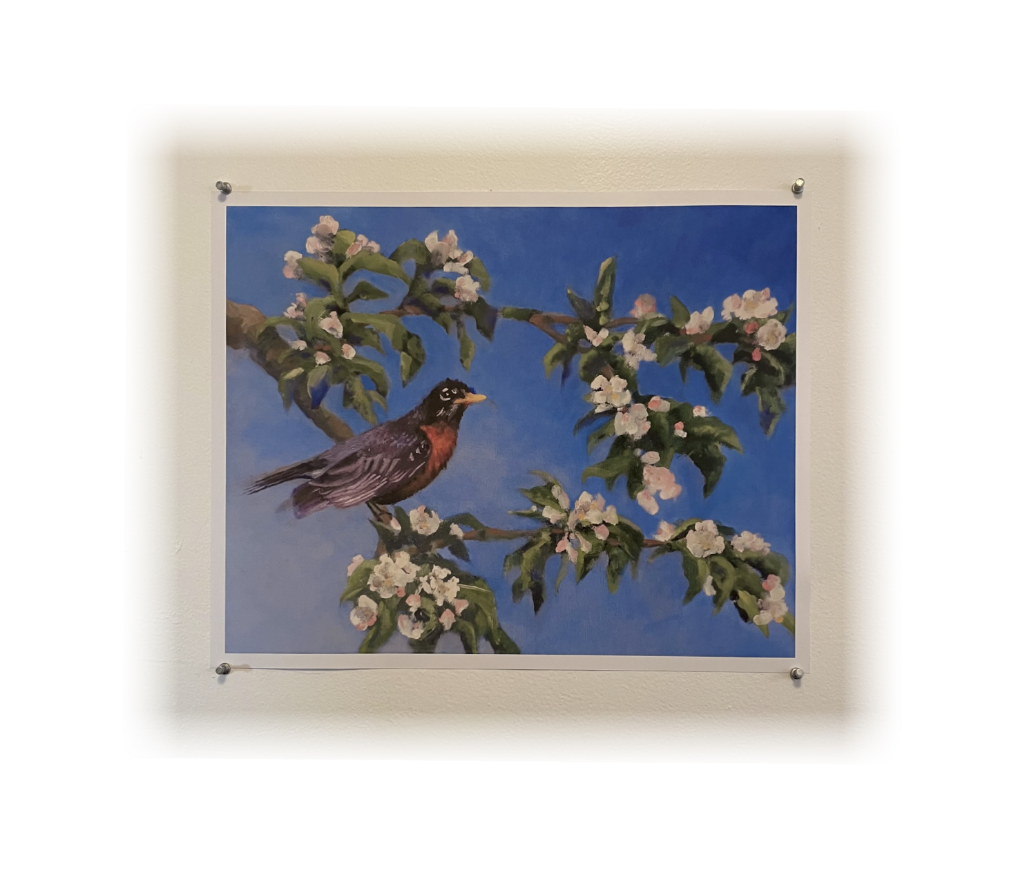E-commerce Product Image