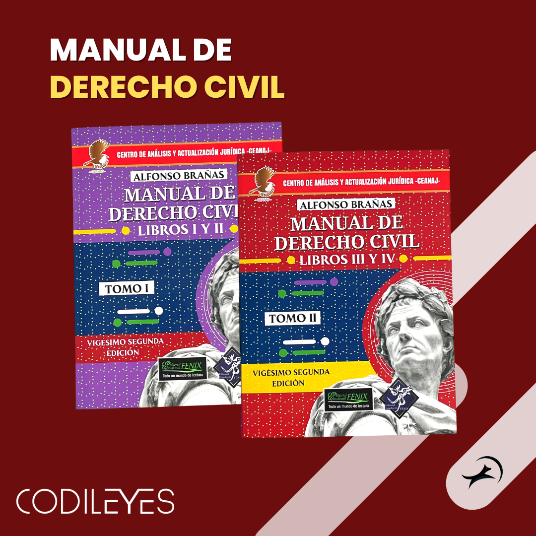 MANUAL DE DERECHO CIVIL - Alfonso Brañas