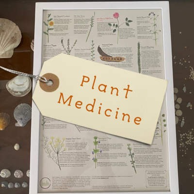 Plant Medicine