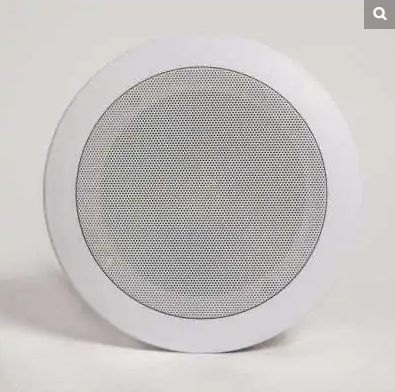 Wireless PA Speaker, In-Ceiling/In-Wall Mounted