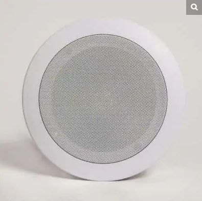 Ceiling PA Speaker