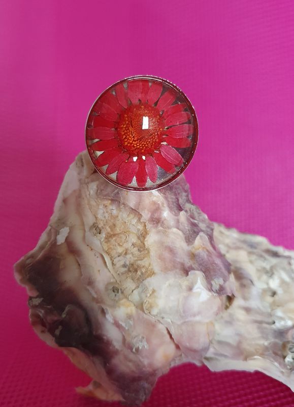 🌸 Bague ronde ajustable en acier inoxydable. Véritable fleur 🌸 séchée rouge. Cabochon bombé en verre diam.2,5cm. Création artisanale Modèle unique.