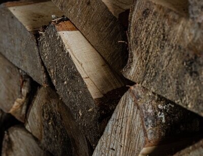 Birch