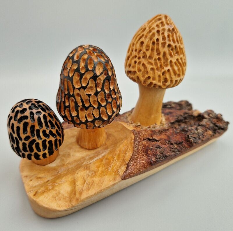 Wooden Mushrooms - Shroom 19