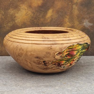 Wooden Hollow Form - Bite of the Burl