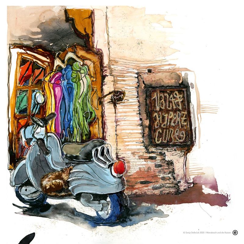 Motiv - Marrakesch und die Katzen Motiv - Marrakesch und die Katzen