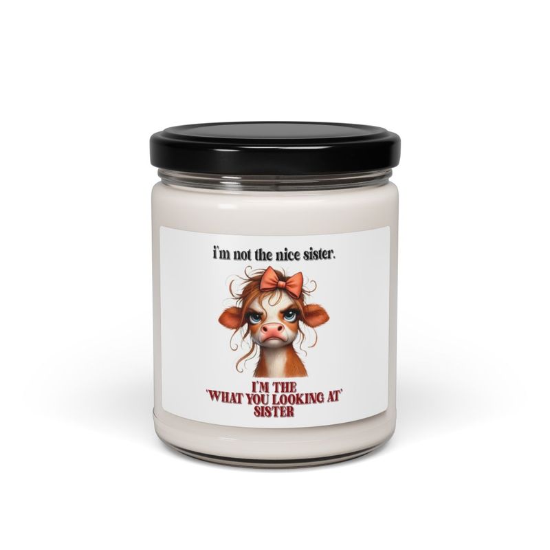 Scented Soy Candle, &quot;I&#39;m Not the Nice Sister&quot; - Perfect Gift for Sisters, Birthday, Housewarming, Humor Decor, Kitchen Candle