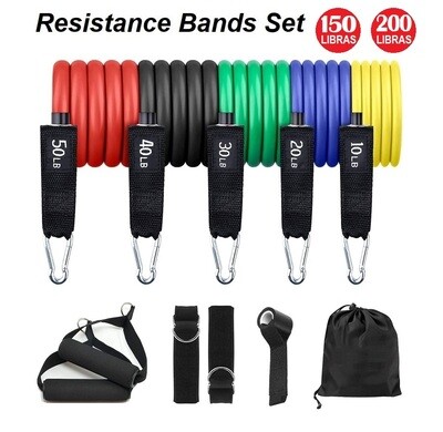 Bandas Elásticas de Resistencia - Sets... desde $39.95