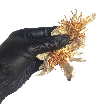 Premium Dried White Lotus Flowers – 10g to 10kg – Natural Herbal Tea, Aromatherapy, Relaxation – Free Shipping from Sri Lanka