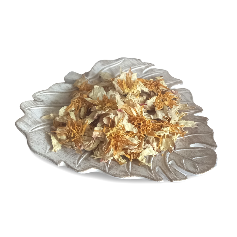 Close-up of premium dried white lotus flowers, perfect for herbal tea, aromatherapy, and relaxation.