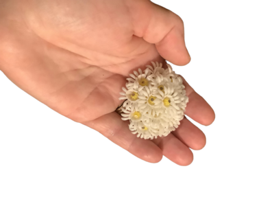 Sweetest Vintage Daisy Brooch - Collectible Costume Jewellery
