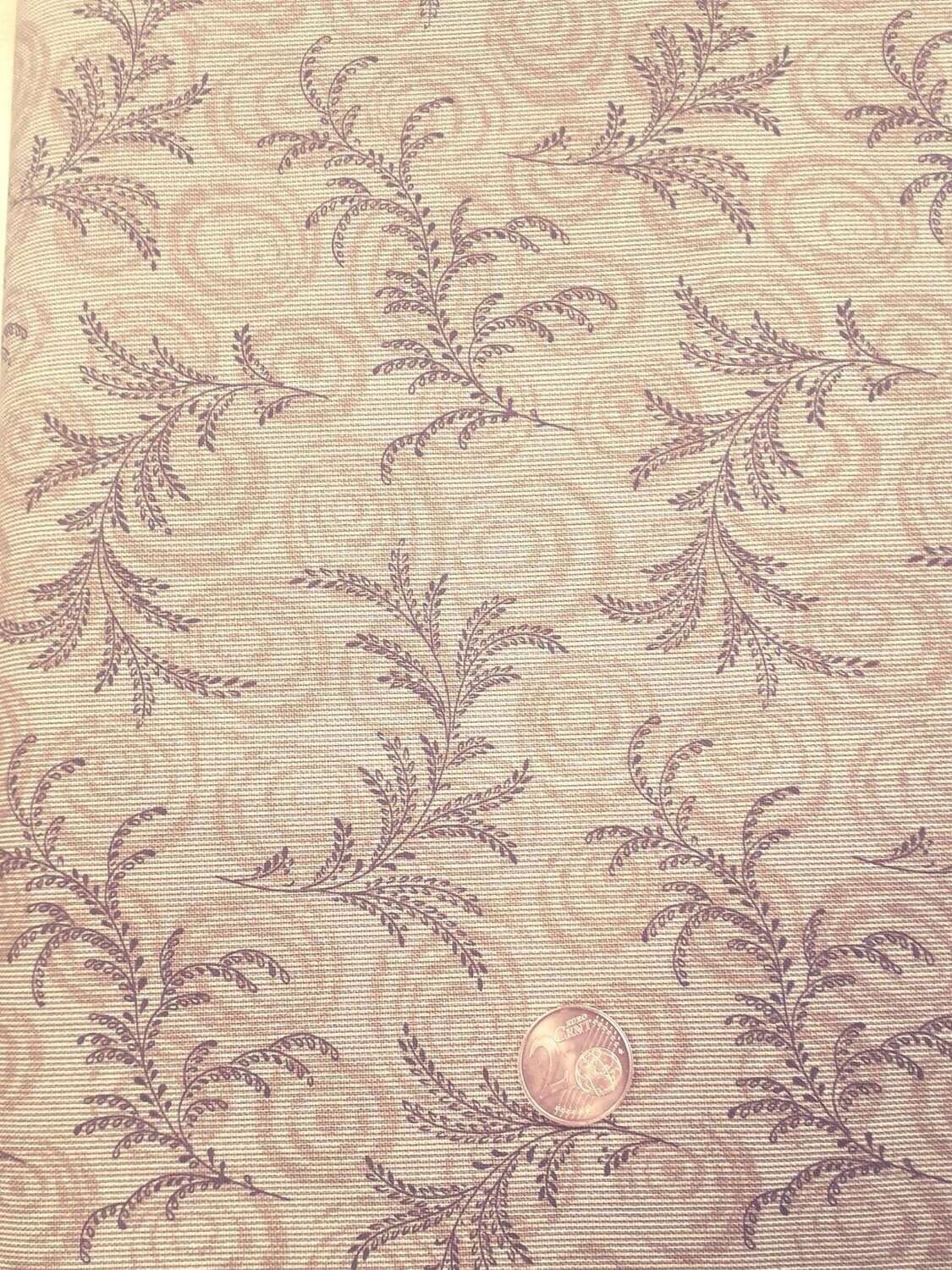 Tela Americana marron claro