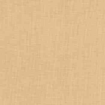 Tela Lisa beige