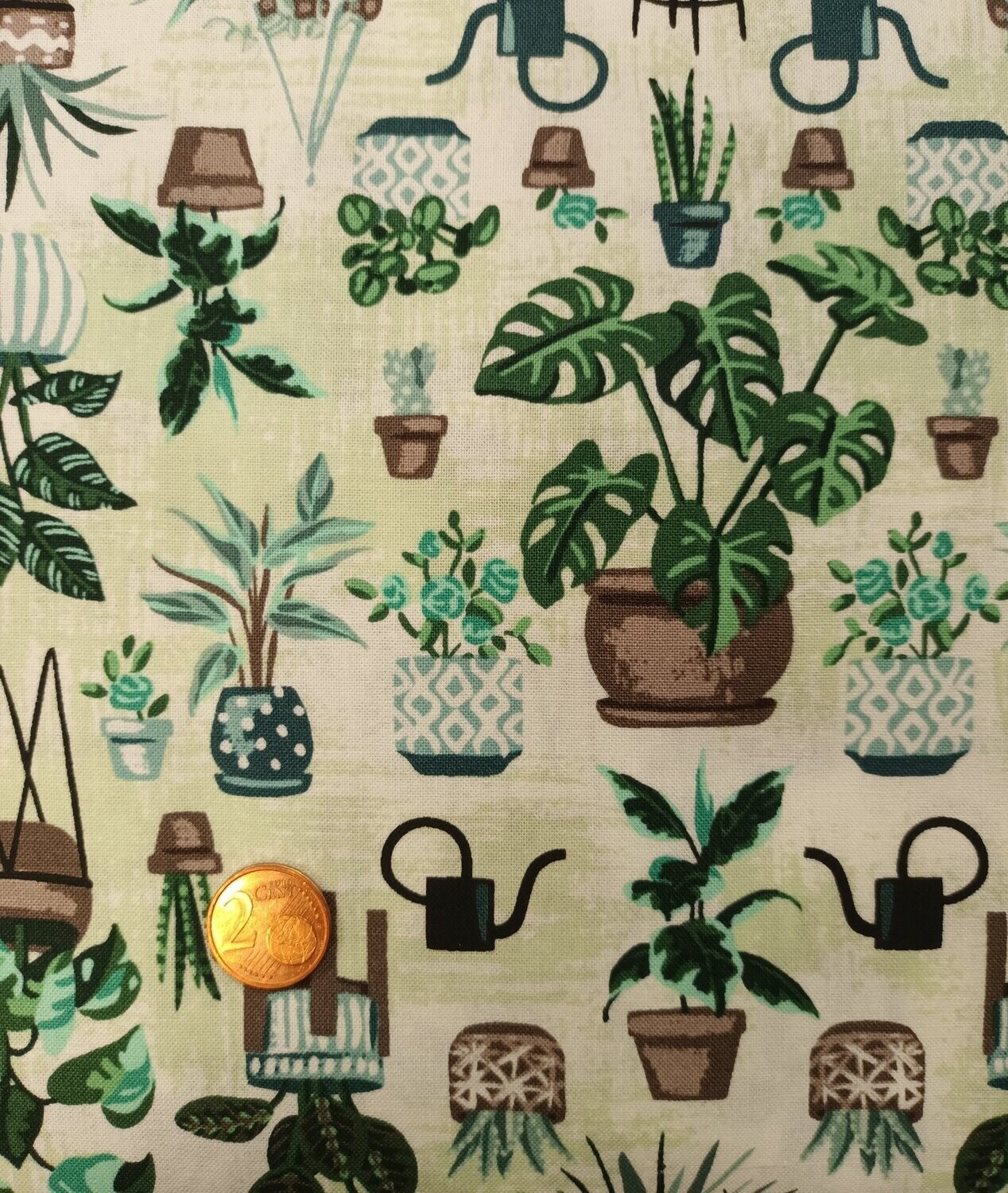 Tela Americana con plantas