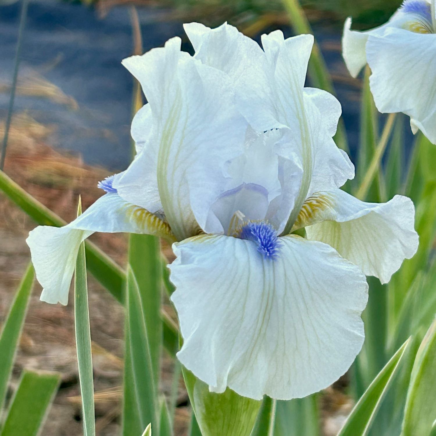 Cold Hands Warm Heart