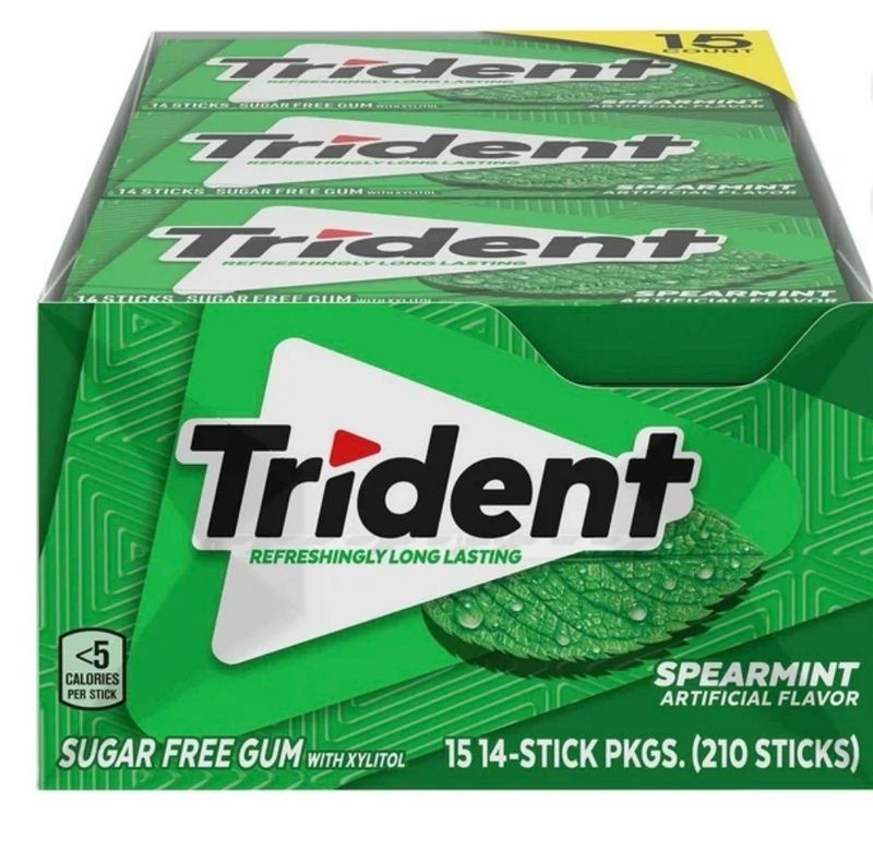 TRIDENT GUM MINT (15PACK)