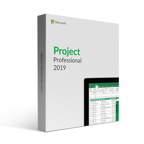 Microsoft Project Professional 2019