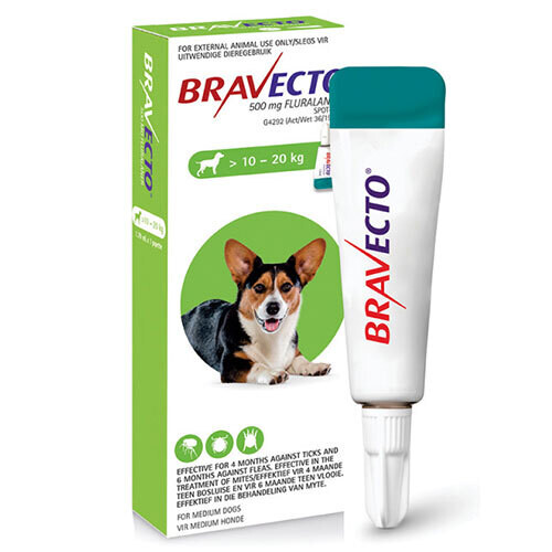 Bravecto Spot-On for Dogs Medium (10-20kg)