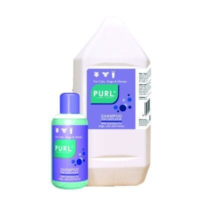 Purl Shampoo Regular
