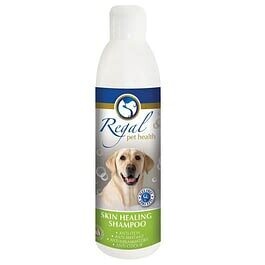 Regal Skin Healing Shampoo