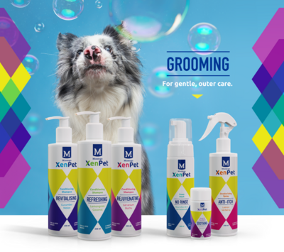 Dogs - Grooming