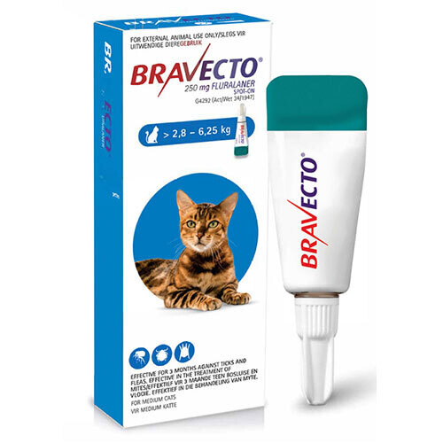 Bravecto Spot-on for Cats Medium (2.8-6.25kg)