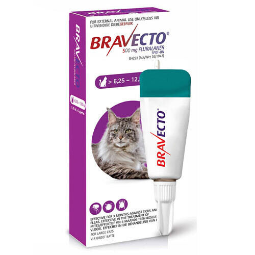 Bravecto Spot-on for Cats Large (6.25-12.5kg)
