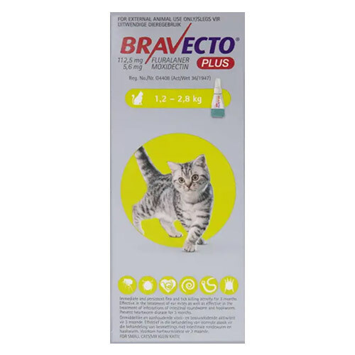 Bravecto Plus Spot-on for Cat Small (1.2-2.8kg)
