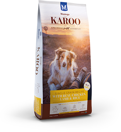 Montego Karoo Senior Dog Food Chicken &amp; Lamb