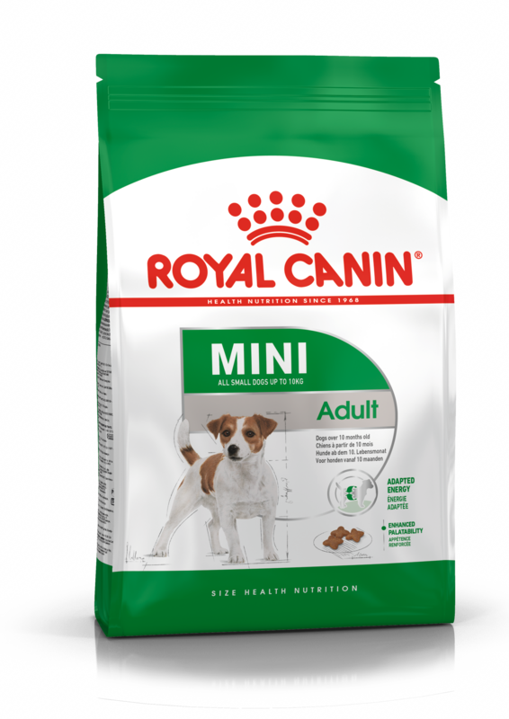 ROYAL CANIN Mini Adult Dog Food (From 10 months to 8 years)