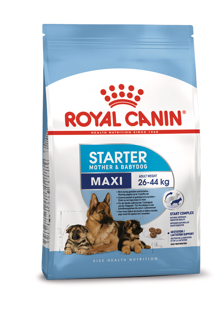 ROYAL CANIN Maxi Starter Mother &amp; Babydog Food (weaning pups up to 2 months old)