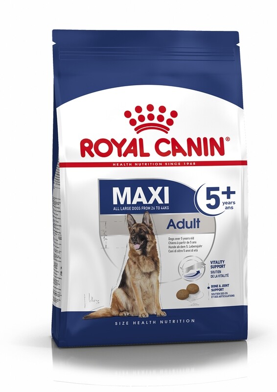 ROYAL CANIN Maxi Adult 5+ Dog Food (from 5 years)