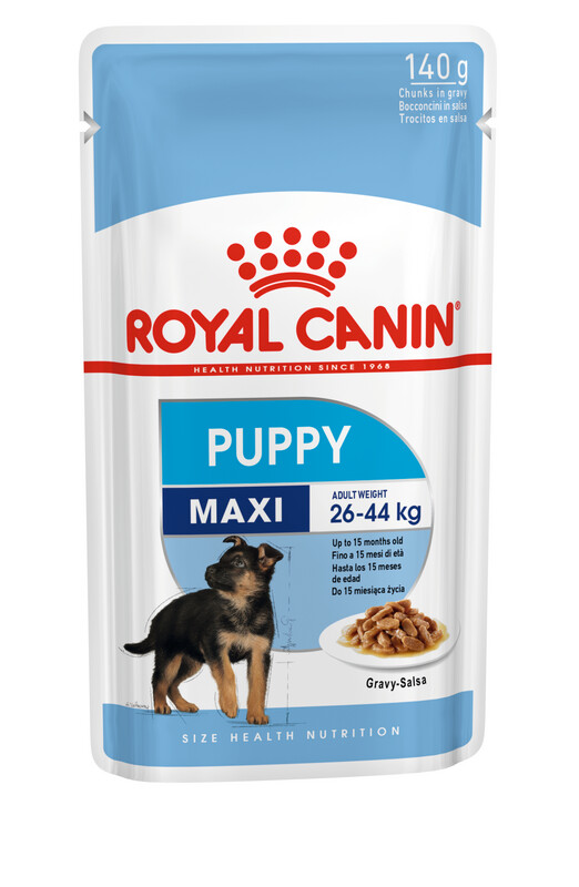 ROYAL CANIN Maxi Puppy Dog Wet Food (2 - 15 months)